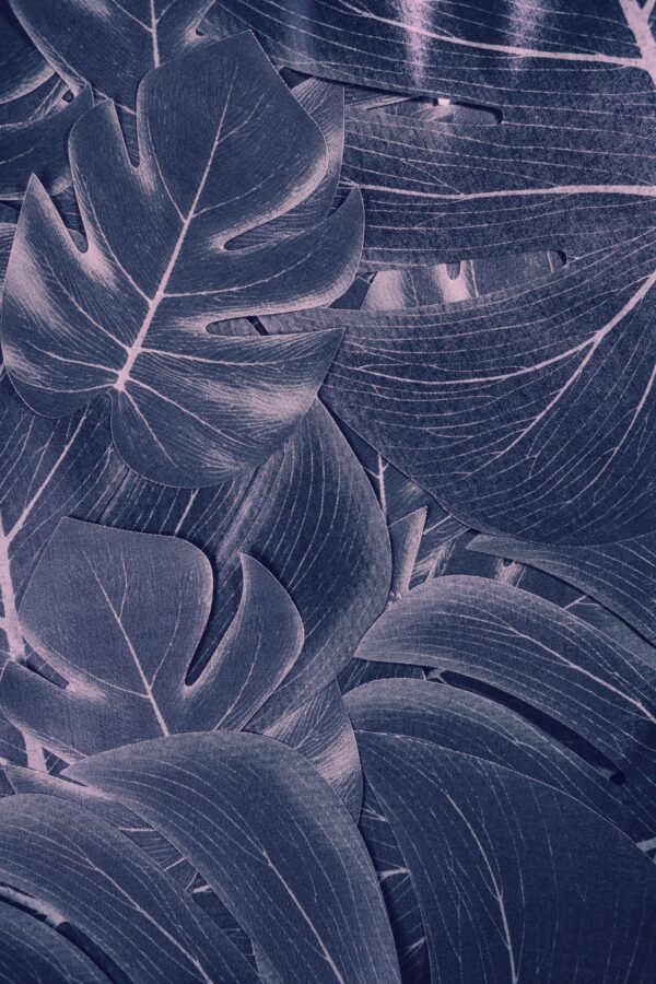 Pale Blue — Studio light